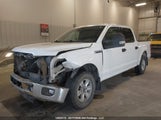 Ford F150 1FTEW1EF4FKE12426 снимка
