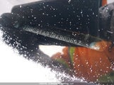 Honda Accord Ex 1HGCS1A77BA800642 снимка