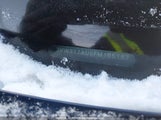Volkswagen Golf 1.8 Tsi Comfortline/1.8 Tsi Highline/1.8 Tsi Trendline 3VW217AU5FM105197 fotografie