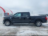 Ford F-150 Lariat 1FTFW1ED8MFB44635 photo