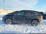 Ford Escape Platinum 1FMCU9JA9RUA71275 снимка
