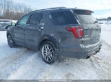 Ford Explorer Sport 1FM5K8GT6HGA38409 снимка