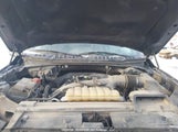 Ford F-150 Xlt 1FTEW1EP7KFC68625 снимка