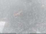 Ford F250 Super Duty 1FT7W2B68MEC15953 снимка