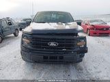 Ford F-150 Xlt 1FTFW3L80SFA69492 снимка