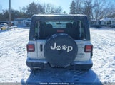 Jeep Wrangler 1C4GJXAN4LW147535 снимка