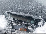 Honda Civic Si Si 2HGFB6E59DH201328 снимка