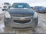 Chevrolet Equinox Ls 2GNFLEEK7E6244985 fotografie