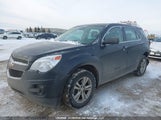 Chevrolet Equinox Ls 2GNFLEEK7E6244985 fotografie