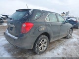 Chevrolet Equinox Ls 2GNFLEEK7E6244985 fotografie