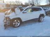 Jeep Cherokee Limited 1C4PJMDX3LD544063 снимка