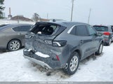 Ford Escape Active 1FMCU9GN7RUA92054 снимка