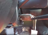 Volkswagen Beetle 3VWSW21C29M515519 снимка