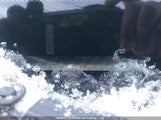 Honda Odyssey 5FNRL5H97DB505796 снимка