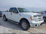 Ford F150 Super Cab 1FTFX1EF8EFA64591 fotografie