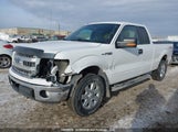 Ford F150 Super Cab 1FTFX1EF8EFA64591 fotografie