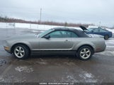 Ford Mustang Convertible 1ZVHT84N685186248 снимка