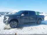 Ford F-150 1FTEW1EF3GFC20716 снимка