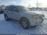 Ford Escape Xlt 1FMCU0D73AKC57681 снимка