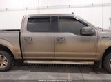 Ford F-150 Xlt 1FTEW1EP8KFB07619 снимка