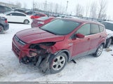 Ford Escape Se 1FMCU0GX2EUD54795 fotografie