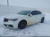 Acura Tlx Technology/A-Spec 19UUB3F61KA802631 снимка