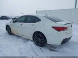 Acura Tlx Technology/A-Spec 19UUB3F61KA802631 снимка