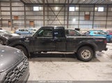 Ford Ranger Fx4 Level Ii/Fx4 Off-Road/Sport/Xl/Xlt 1FTZR45E27PA76071 fotografie