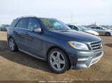 Mercedes-Benz Ml 350 Bluetec 4JGDA2EB7EA311992 снимка