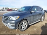 Mercedes-Benz Ml 350 Bluetec 4JGDA2EB7EA311992 снимка