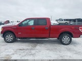 Ford F150 Supercrew 1FTFW1ET4EFC75408 снимка