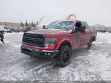 Ford F-150 Fx4 1FTFW1E60EFA96051 снимка
