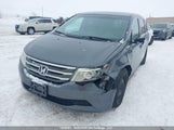 Honda Odyssey 5FNRL5H40DB504705 снимка