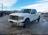 Ford F-150 Stx/Xl/Xlt 1FTEX1E85AFA41471 fotografie