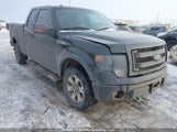 Ford F-150 Fx4 1FTFX1EF9DFA00316 снимка