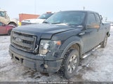 Ford F-150 Fx4 1FTFX1EF9DFA00316 снимка