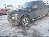 Ford F-150 Fx4 1FTFX1EF9DFA00316 снимка