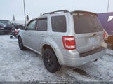 Ford Escape Xlt Automatic 1FMCU9DG1AKC98766 снимка
