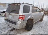 Ford Escape Xlt Automatic 1FMCU9DG1AKC98766 снимка
