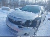 Toyota Corolla S/Le/Xle 2T1BU4EE9AC389074 снимка