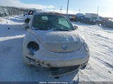Volkswagen New Beetle 2.5L Luxury 3VWRF21YX7M419208 photo