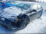 Toyota Corolla Le 2T1BURHE5JC116383 снимка