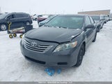 Toyota Camry 4T1BB46K29U100749 снимка