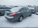 Toyota Corolla Le 2T1BU4EE7AC318049 снимка
