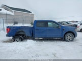 Ford F-150 King Ranch/Lariat/Platinum/Tremor/Xl/Xlt 1FTFW1E84PKD48380 fotografie