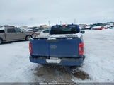 Ford F-150 King Ranch/Lariat/Platinum/Tremor/Xl/Xlt 1FTFW1E84PKD48380 fotografie