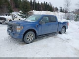 Ford F-150 King Ranch/Lariat/Platinum/Tremor/Xl/Xlt 1FTFW1E84PKD48380 fotografie