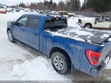 Ford F-150 King Ranch/Lariat/Platinum/Tremor/Xl/Xlt 1FTFW1E84PKD48380 fotografie