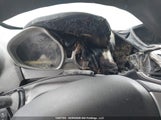 Ford Fiesta 3FADP4BJXCM144706 снимка