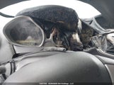 Ford Fiesta 3FADP4BJXCM144706 снимка